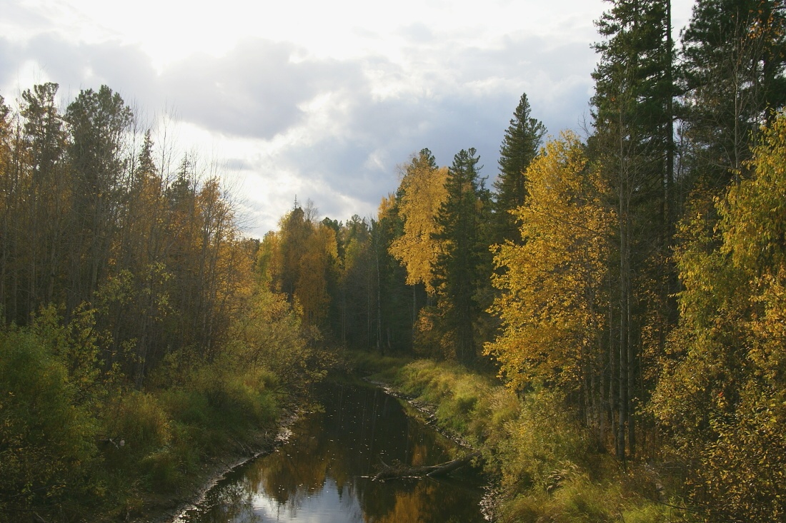 речка Самсоновка