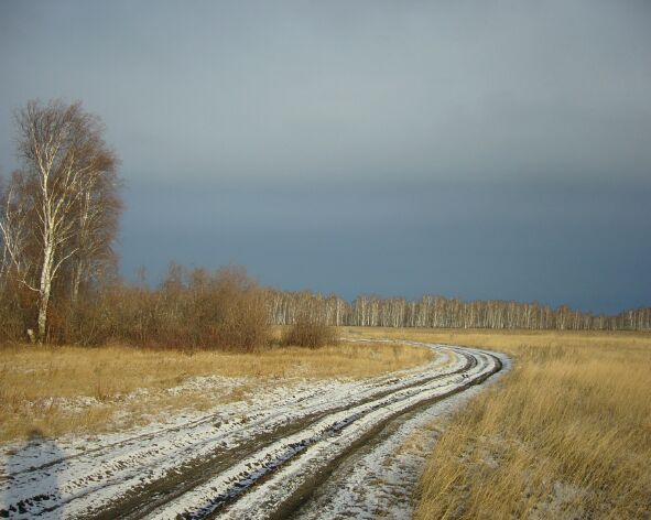 Предзимье