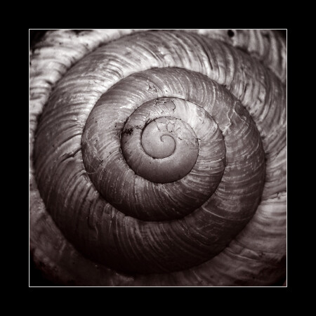 Helix