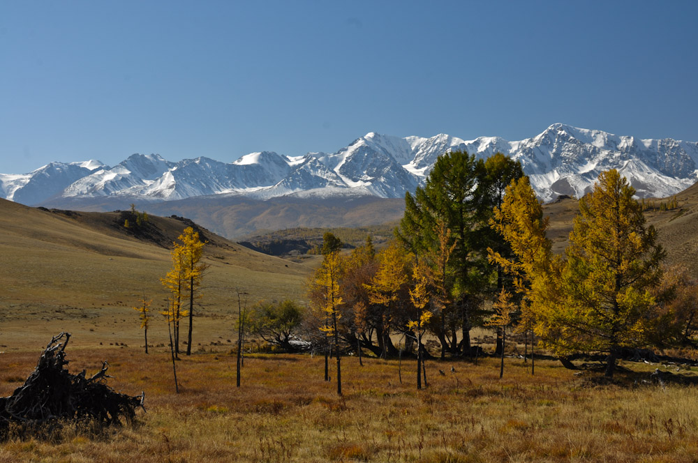 Алтай. Осень.