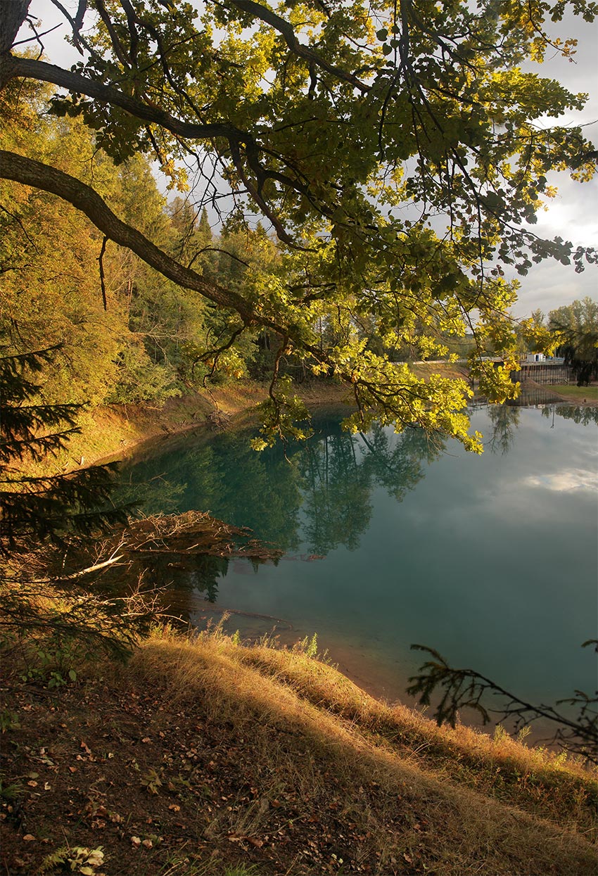 Живой воды источник