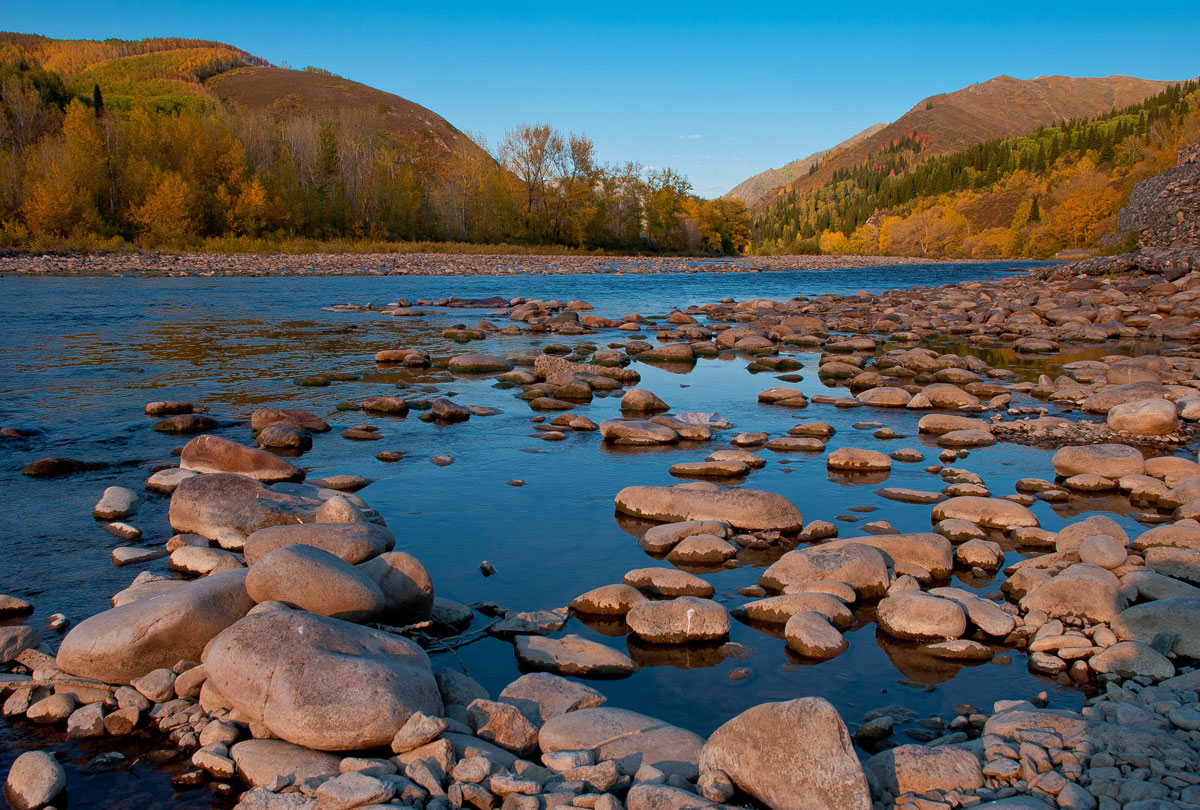 краски осени