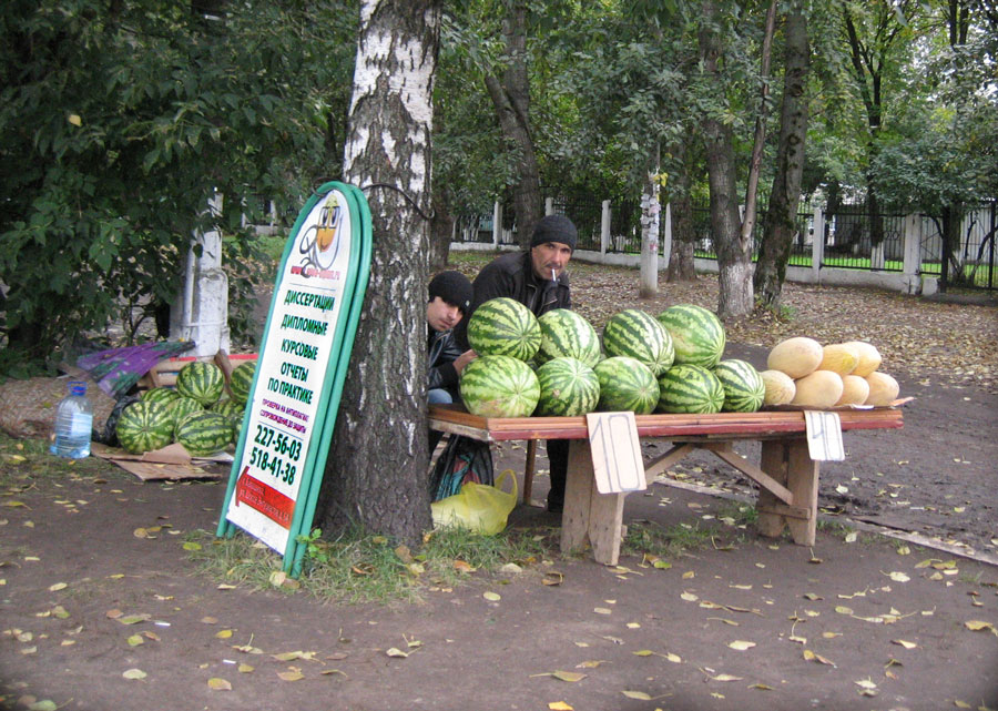 Образование......