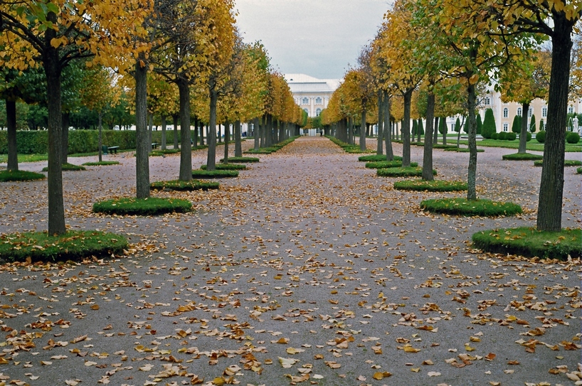 осень в парке