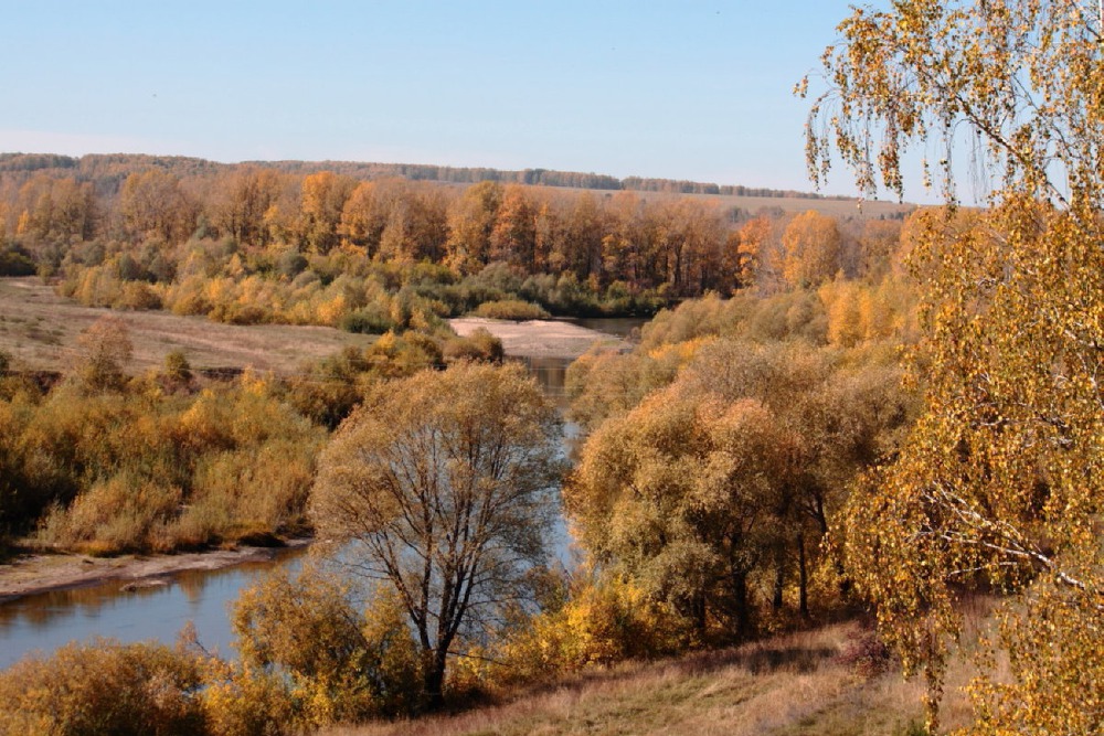 краски осени