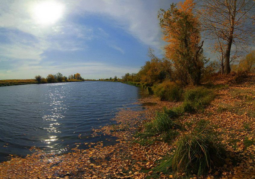 Желтым листиком в воде,утонуло лето