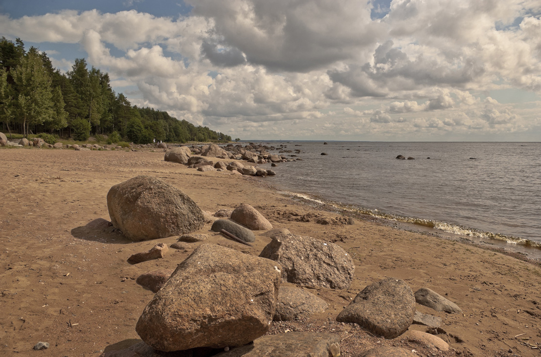 Финский Залив В Санкт Петербурге Фото Летом