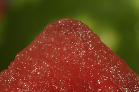 Фруктовая гора