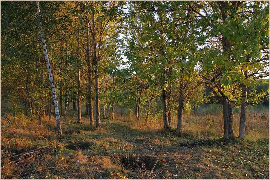 Золотая осень