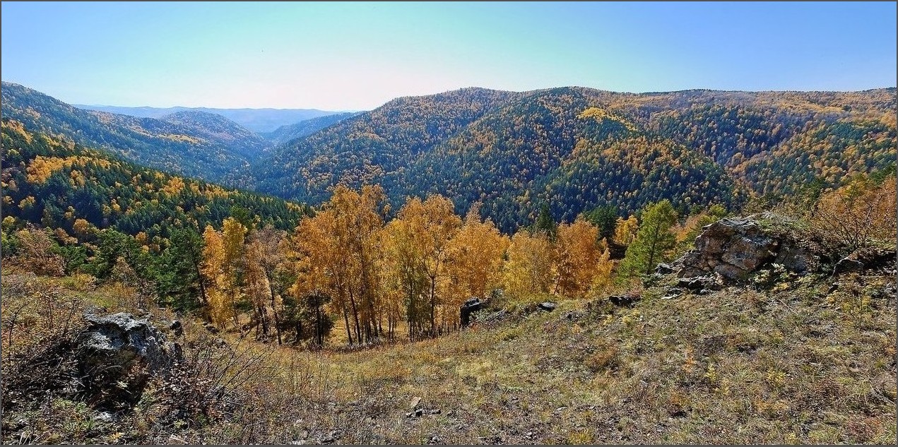 Краски осеннего дня