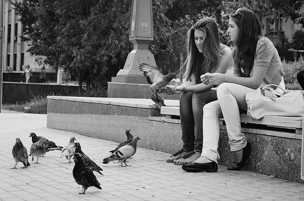 birds&amp;girls