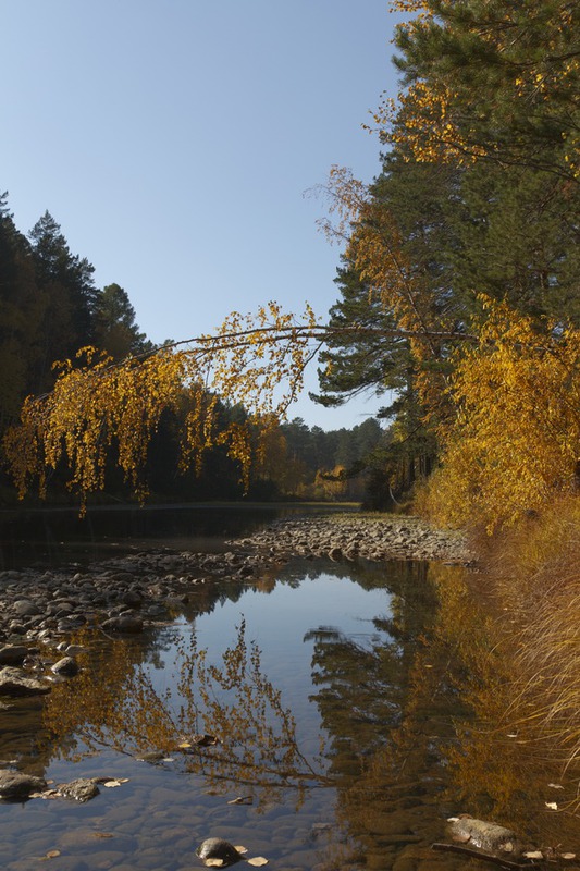 Осень. Река.