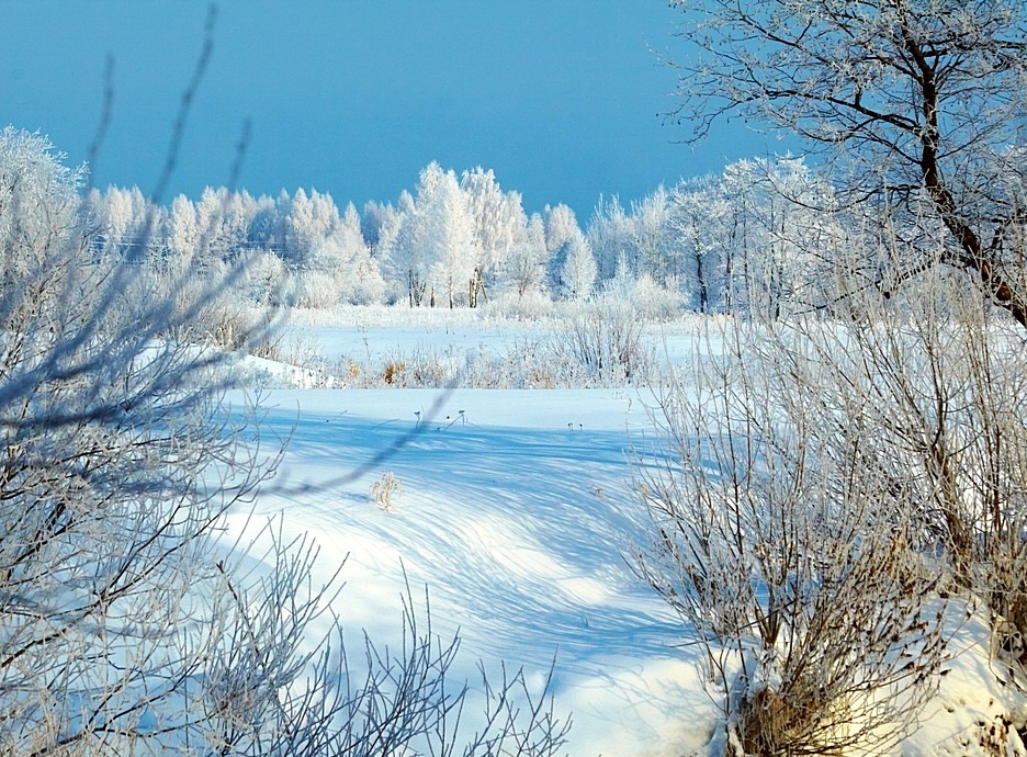 Славная была зима