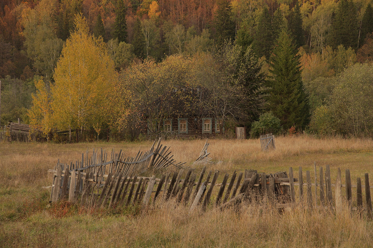 Вжиться в осень