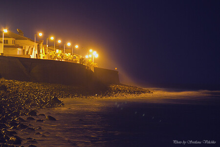 Золотистый океан