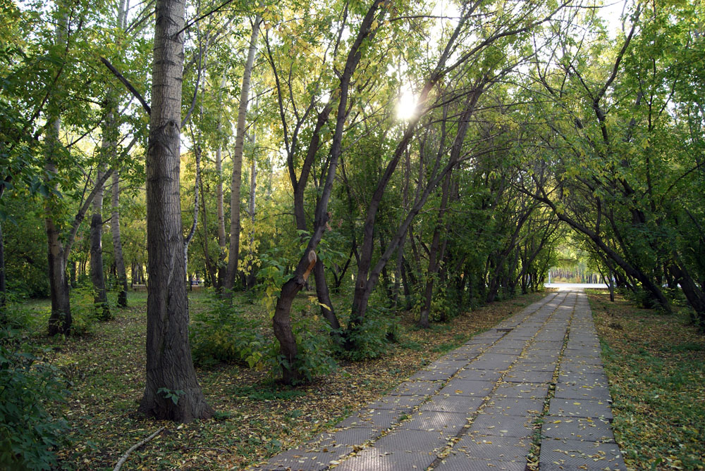 В осеннем парке