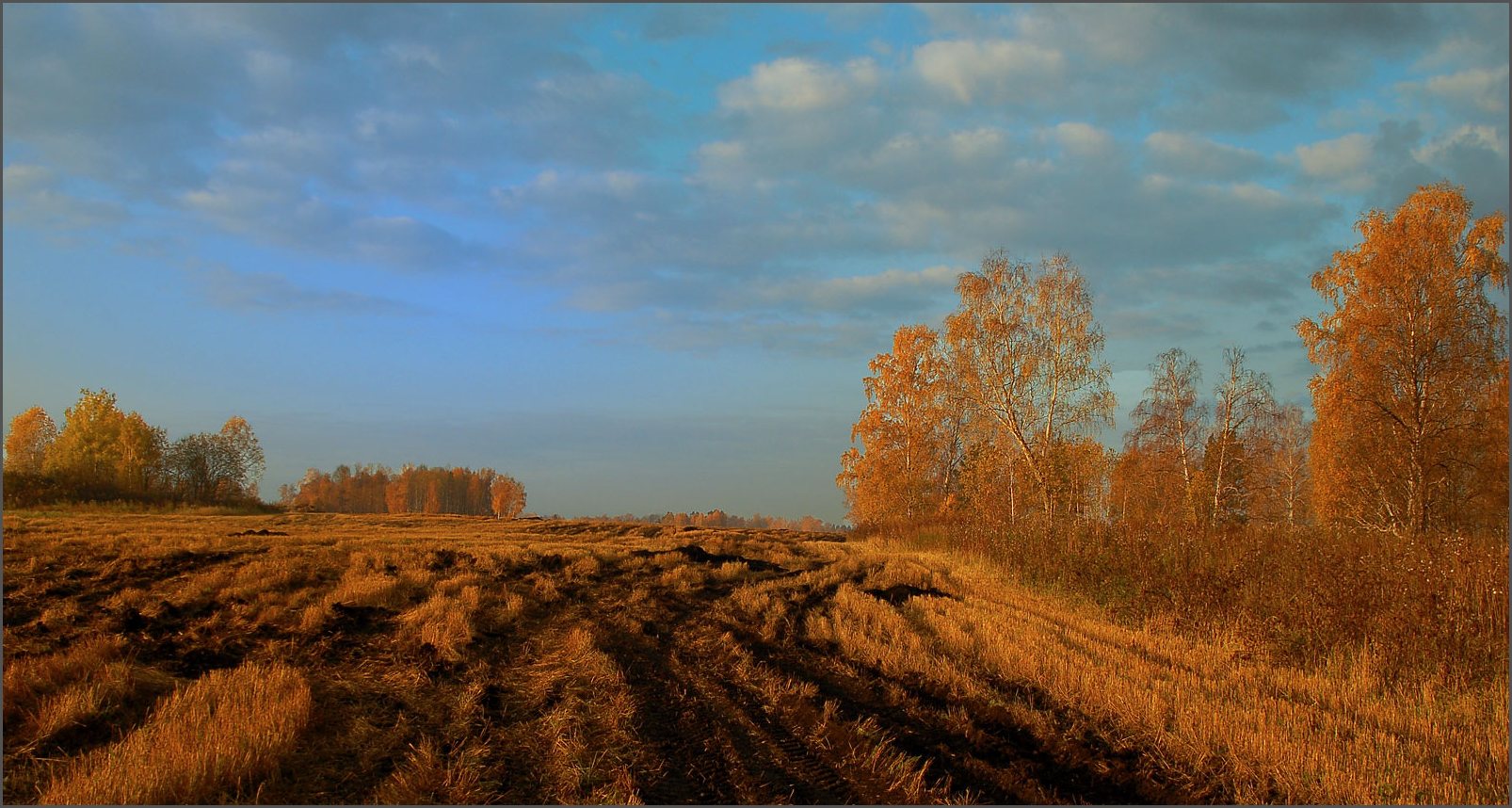 Осенняя пора