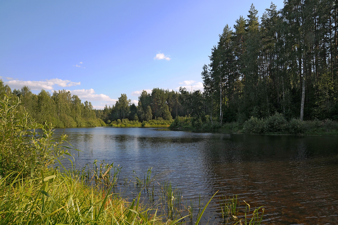 Безмятежность лета