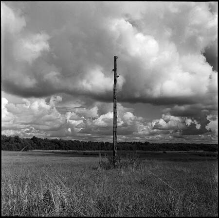 плюс электрификация всей страны