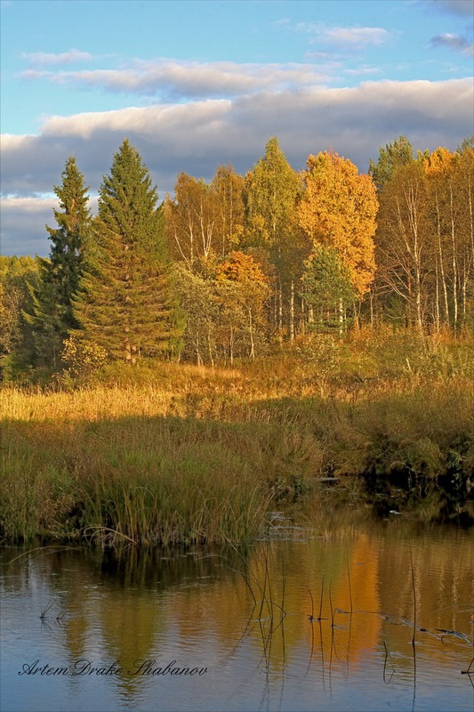 Небо, лес и вода.