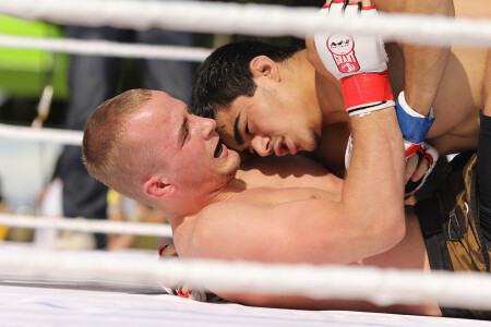 Mix fight