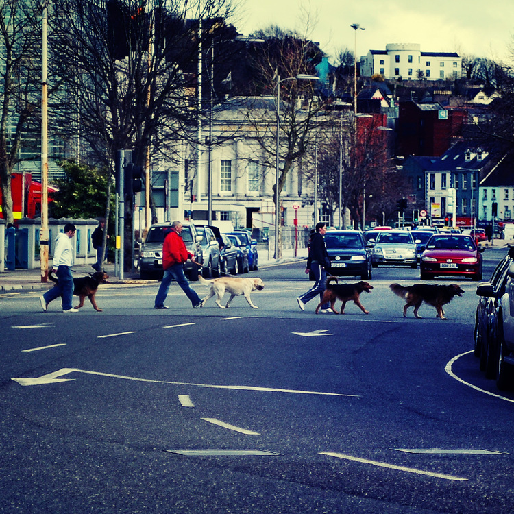 Abbey Road (C)