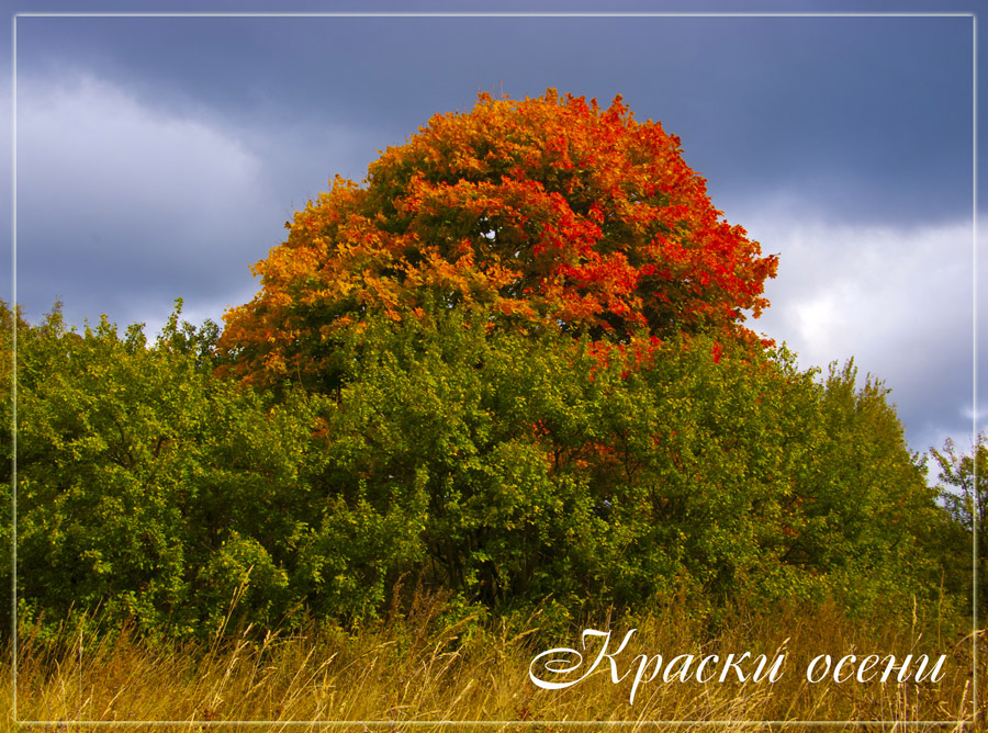 Краски осени