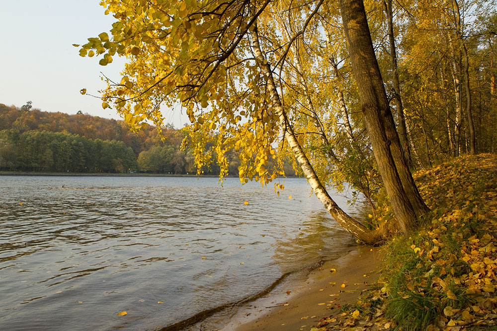 осень