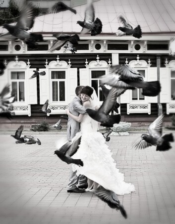 А ты никуда не улетишь?