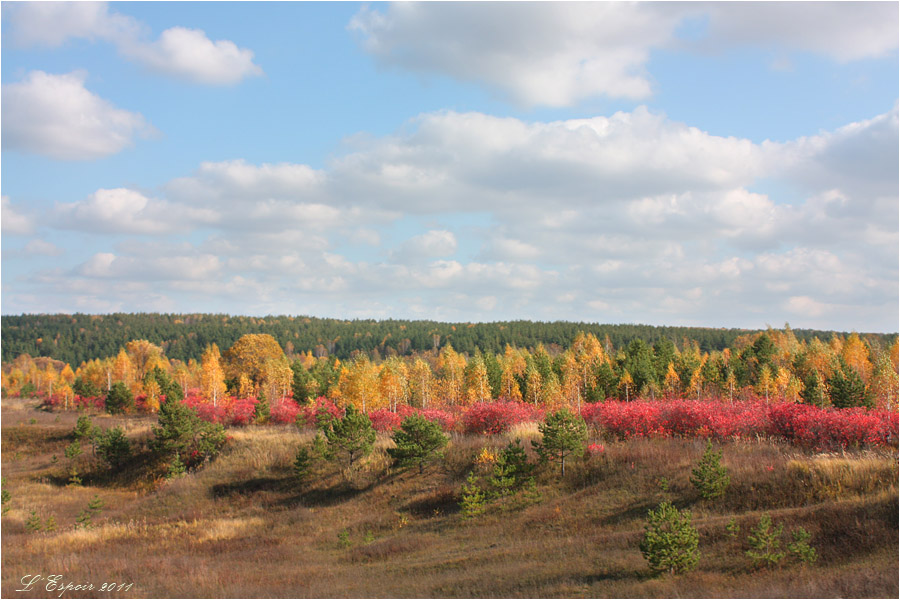 Красная полоса осени