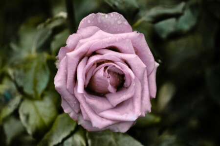 Лета последний аккорд