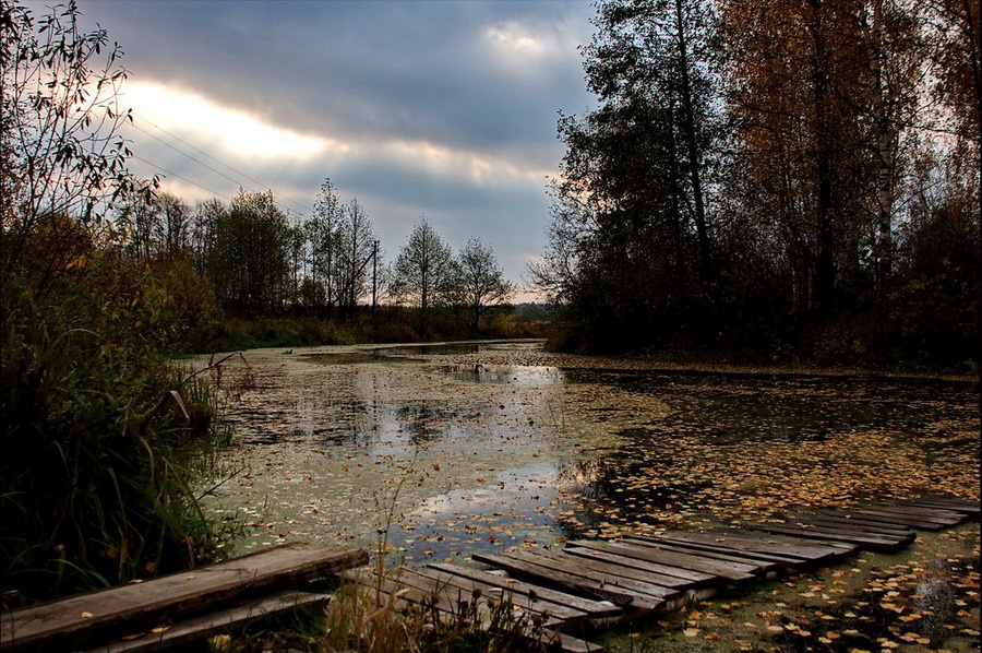 ХМУРАЯ ОСЕНЬ