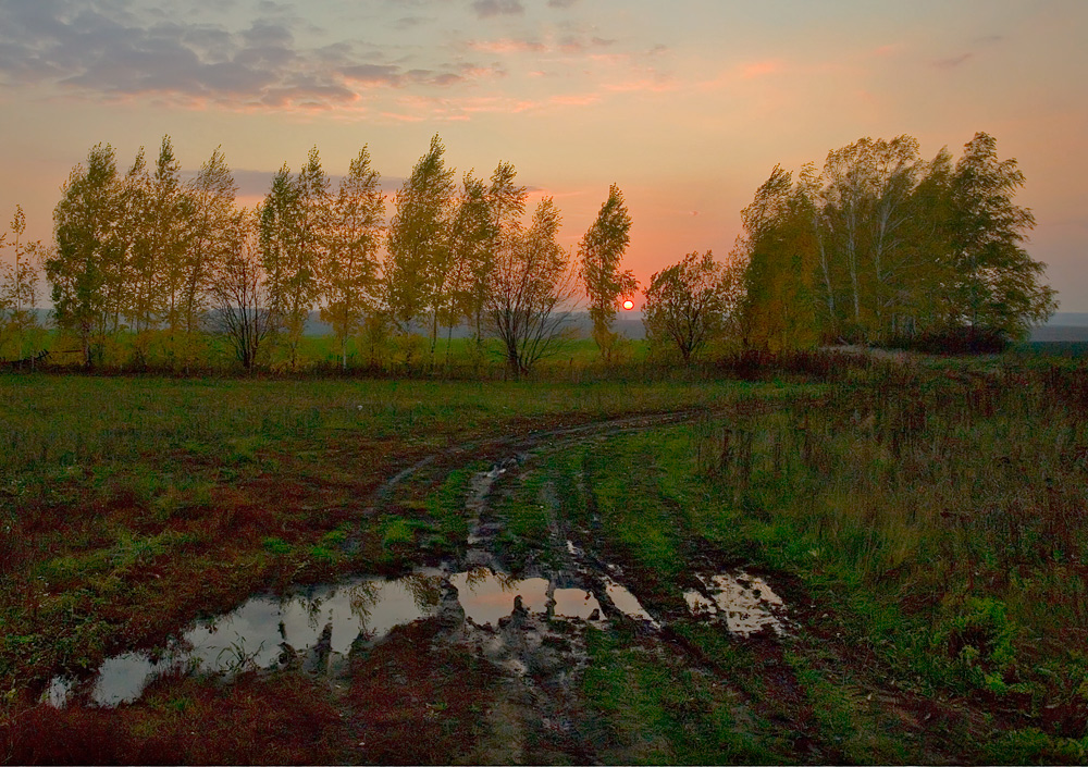 Грибная дорога...