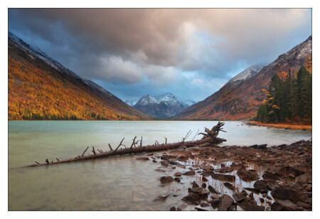 ОСЕННЯЯ