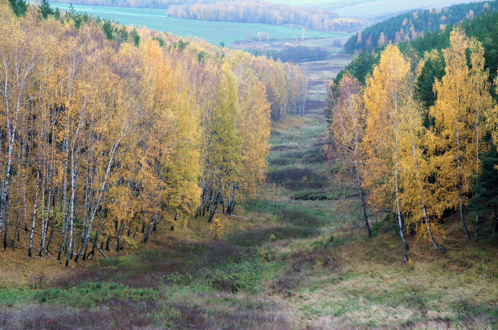 осенний пейзаж