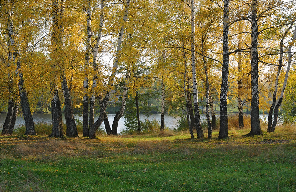 Осенний свет