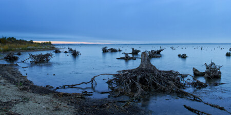 Хмурое утро