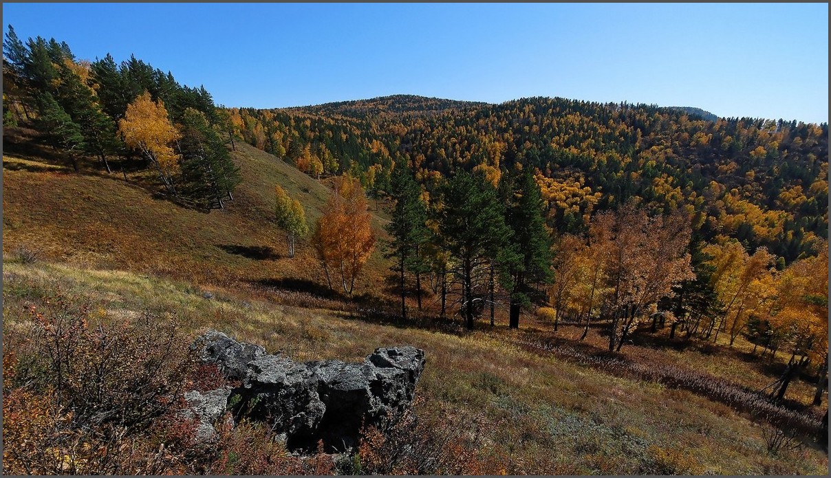 Безоблачная осень