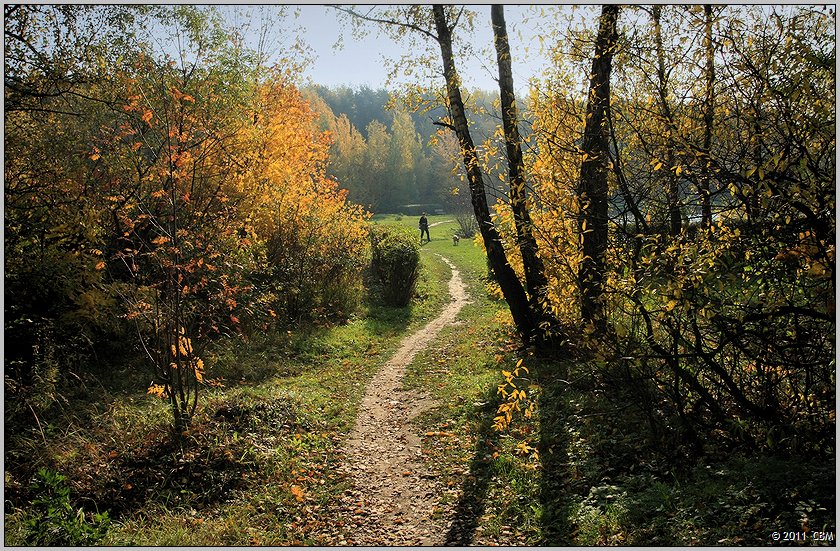 Осень в Тропарево