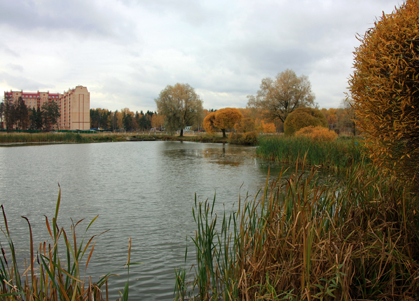 Золотая осень