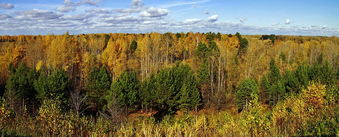 Осенняя