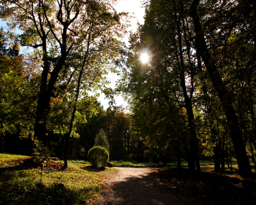 Осенний день в Монрепо