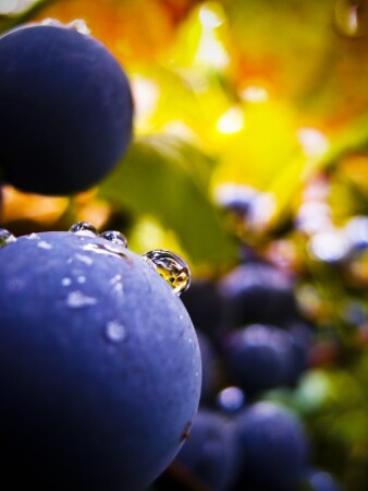 без названия #2