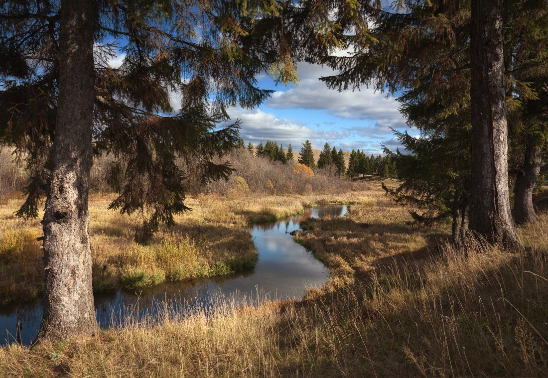 Сказочная осень