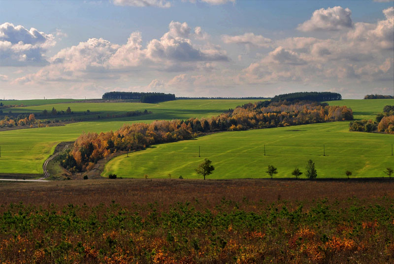 полосатая осень