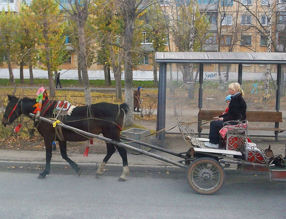 Едем в магазин