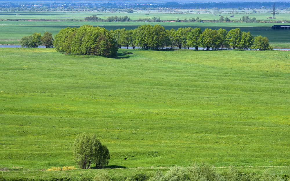 Родные луга