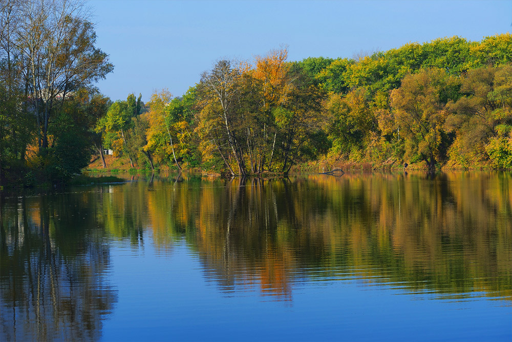 Краски осени