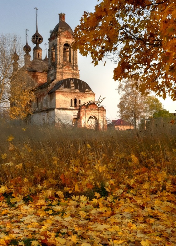 Рыжая плутовка осень