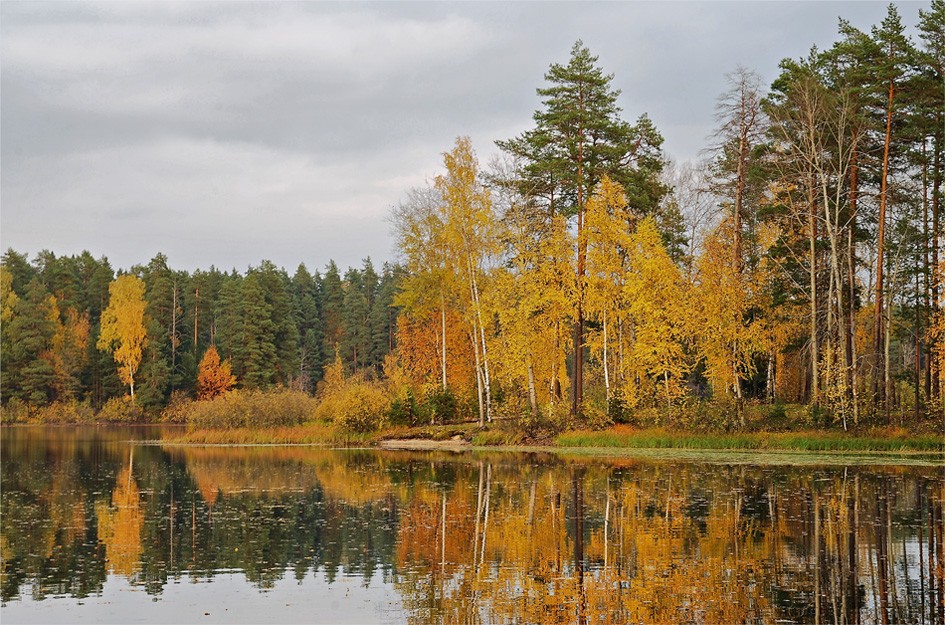 Золото осени